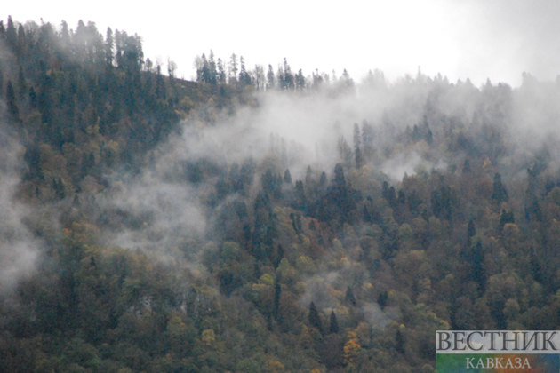 Forest fire engulfs provinces of Muğla and Antalya