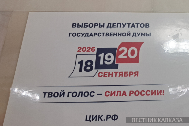 Russia to have nearly 320 polling stations abroad for State Duma polls