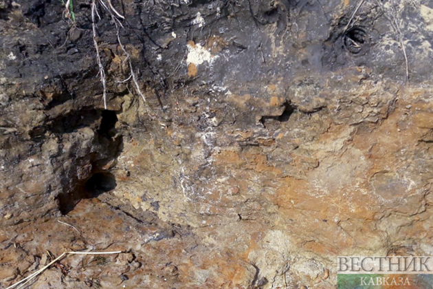 Archaeologists find pottery kiln, 200 coins and human remains in Sukhum