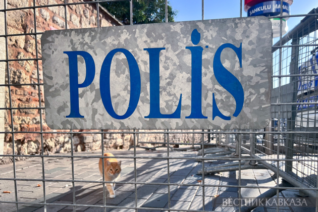 Polis