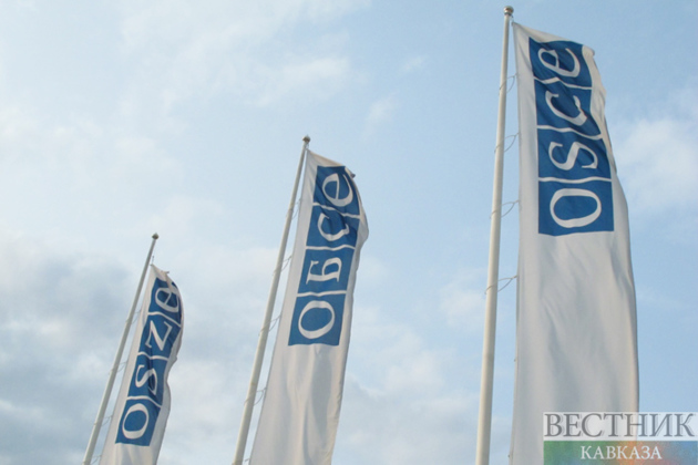 EU opposes Georgia's OSCE chairmanship bid for 2027