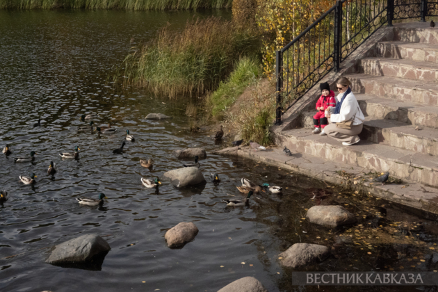 Осень в парке Покровское-Стрешнево