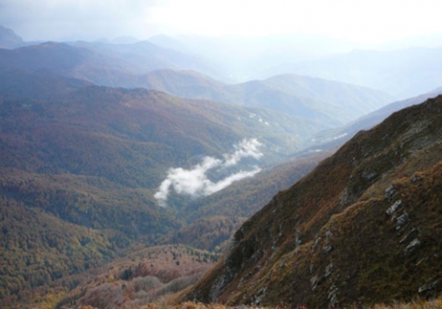 Interests of the South Caucasus countries in the context of the Syrian and Iranian problems