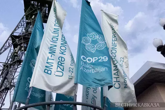 COP29 participants agree to double climate finance