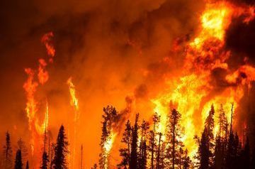 Australia fires: Death toll rises as blazes destroy 200 homes