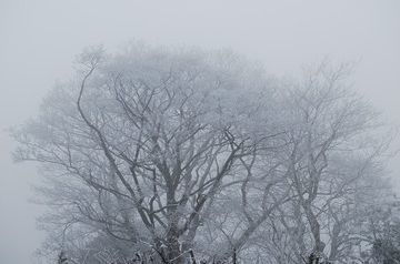 Foggy Sunday in store for some regions of Kazakhstan