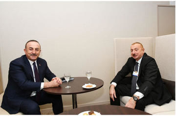 Ilham Aliyev holds talks with Mevlut Cavusoglu in Davos