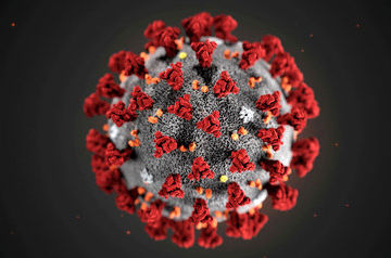 Russian coronavirus test system to be used in China