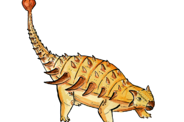 Petersburg paleontologists learned how dinosaurs cooled their brains