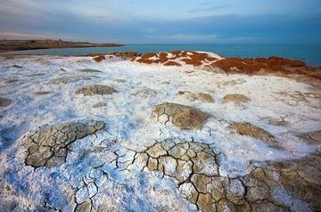 WHO looks for coronavirus &#039;brought by wind from Aral Sea&#039; to Turkmenistan