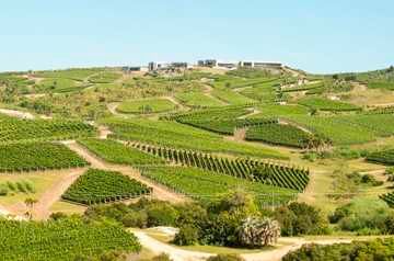 Top wine producing locations 