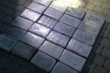 St. Petersburg police seize 25 kg of cocaine on ship arriving from Belgium