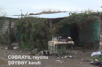 Azerbaijan liberates Sheybey village in Jabrayil (VIDEO)