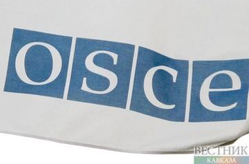 OSCE assesses positively parliamentary elections in Georgia