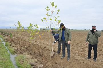 1,000 trees planted in de-occupied Aghdam