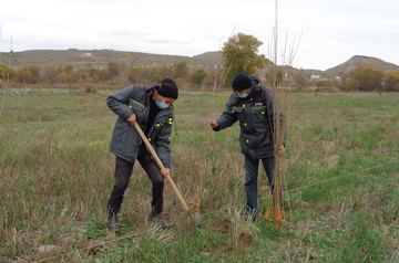 Tree-planting campaign continues in Azerbaijan&#039;s Gubadli