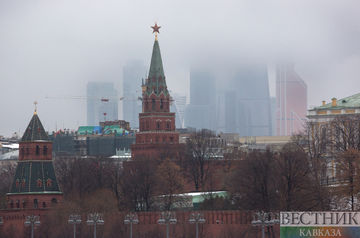 Peskov: Kremlin views unauthorized rallies as unacceptable