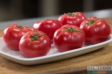 Azerbaijan and Russia to discuss tomato supply issue