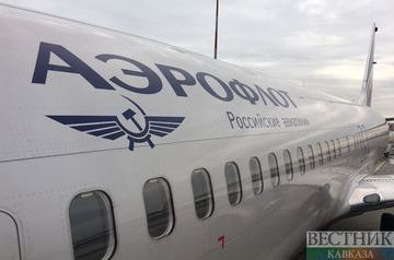 Airbus makes emergency landing at Sheremetyevo airport