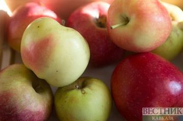 Apples stimulate production of new brain cells