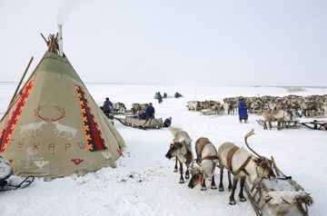 Indigenous culture in Arctic Russia gets funding boost