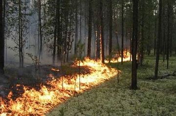 Mined area burning in Fuzuli district (VIDEO)