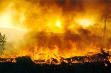 Fire breaks out on Gazakh direction of Azerbaijani-Armenian border