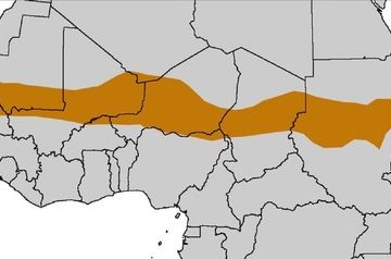 France’s exit from the Sahel war offers Russia an opportunity to move in