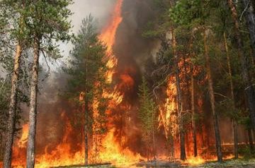 Huge forest fire erupts in Turkey&#039;s Antalya