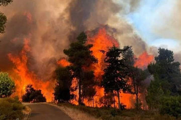 Large wildfire breaks out in forest near Jerusalem