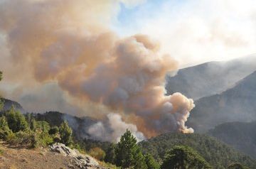 Turkey almost coped with forest fires