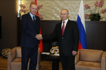 Putin and Erdogan meet in Sochi