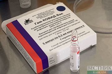 Developers of Sputnik V hope to certify jab with WHO by late November