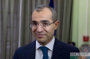 Azerbaijan appoints new president of Wrestling Federation