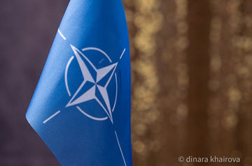 Finland to clarify next steps on possible NATO entry within weeks