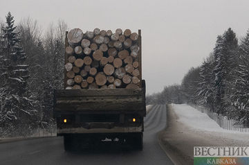 Ban on Russia&#039;s timber, machinery imports to Japan comes into force on April 19