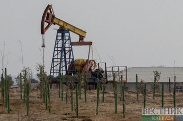 U.S. plans to buy back 60 mln barrels for emergency oil stockpile - report