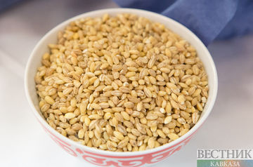Erdogan: Ankara hopes to quickly implement Ukrainian grain plan