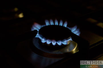 German expert panel proposes 2-stage gas price subsidy