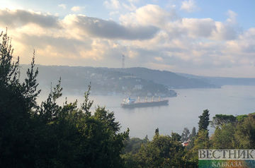 Cargo ship from Ukraine grounded in Bosphorus strait