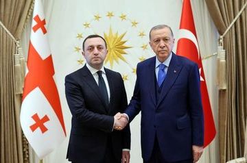 Georgian PM holds talks with Turkish President