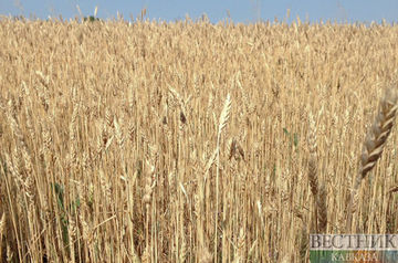 Erdoğan speaks on grain deal benefits