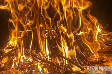 Burning deadwood threatened airport security in Kazakhstan