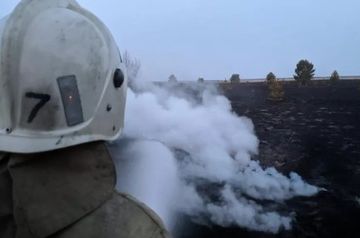 Forest fire crossed Kazakhstan-Russia border