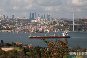 Istanbul grain deal summit comes to an end