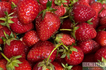 Abkhazian strawberries not to be exported to Russia this summer 