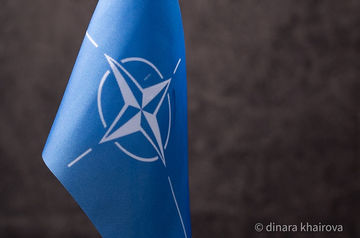 Georgia comments on NATO bid decision