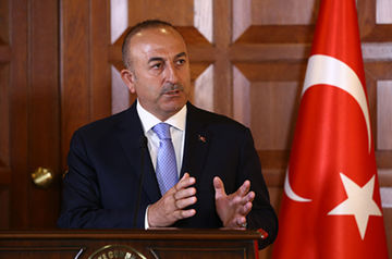 Former Turkish FM takes on new role
