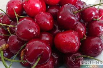 Uzbekistan increased sweet cherries export by 60%