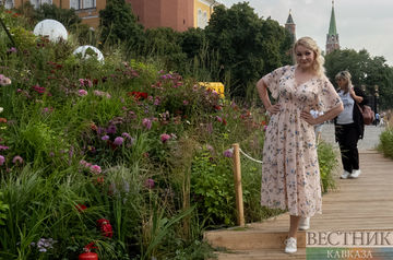 Flower Jam 2023 in Moscow: bright wonders of landscape design